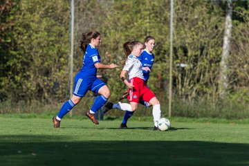 Bild 142 - B-Juniorinnen Hamburger SV - FC Neubrandenburg 04 : Ergebnis: 3:1
